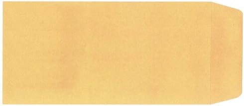 License Plate Envelopes - Blank Moist & Seal