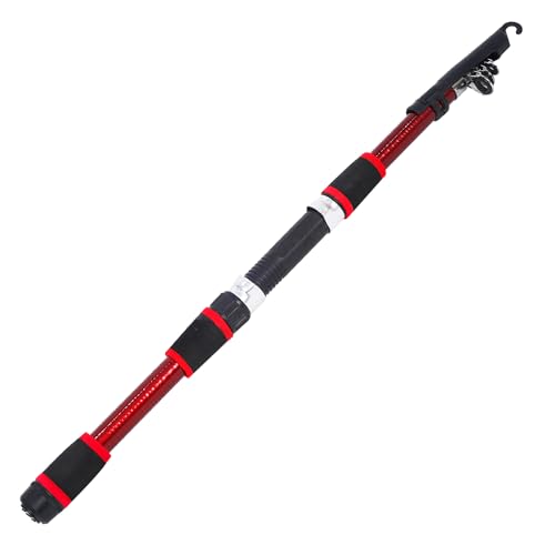 JOYFOX Combo Vara de Pesca e Molinete, Kit completo de Combo Carretel de Vara de Pesca com 2 PCS Var