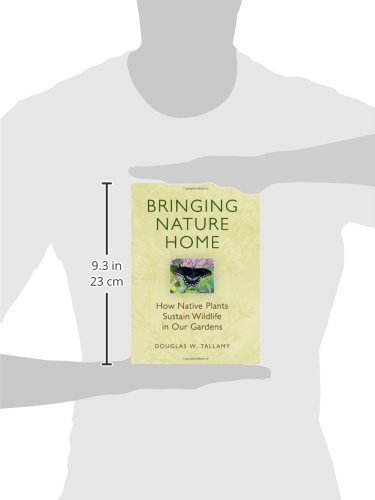 Bringing Nature Home: How Native Plants Sustain Wildlife in Our Gardens - Image 2