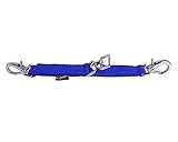 ARBO-INOX® Longierbrille Longierhilfe Longieren (Kobaltblau)