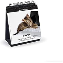 حقيقي فريد ديلي كاتيتيتيود سطح المكتب