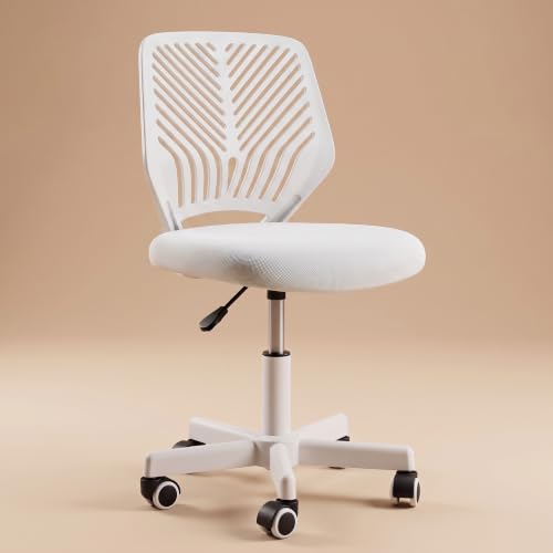 Image of DROGO Nova Ergonomic Office Chair, Armless Mesh Desk Chair with Breathable Backrest & Height Adjustable Seat, Soft Cushioned Computer Chair for Home, Study & Bedroom, 1 Year Warranty (White)