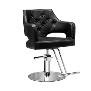 Hair Salon Chair Hydraulic Barber Chair for Home Barbershop, Styling Chair for Hair Stylist Heavy Duty, Hairdressing Beauty Spa Equipment