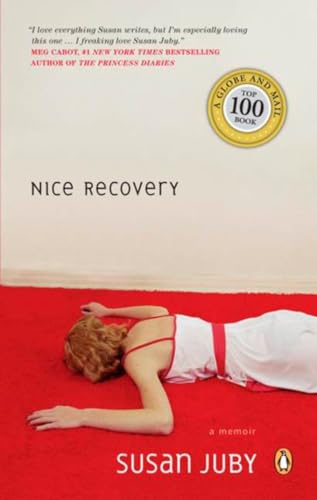 Nice Recovery view 2
