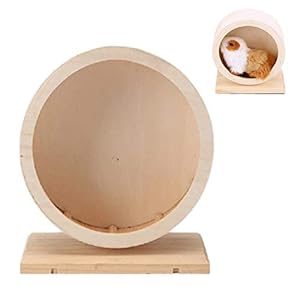 MMIAOO Roterend reuzenwiel voor hamsters, loopspeelgoed, hamsterloopband, geruisloos loopwiel van hout, voor hamsters, cavia’s, egels en chinchilla (17,5 cm)