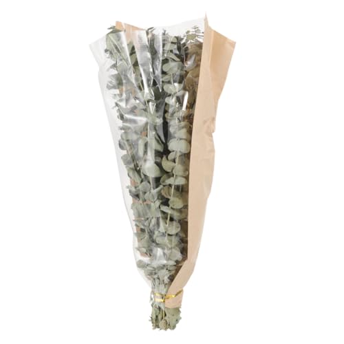 Ramo de baño de eucalipto y lavanda seca BESTOYARD miniatura 6