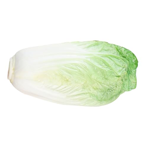 Cabilock リアルな色合い耐久性 の?真菜モデル 入り 食品サンプルキッチン装飾 おままごと撮影用レストランディスプレイ小道具