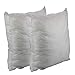 2 Pack Throw Pillow Inserts 18 x 18 Inch Decorative Cushion Square Form for Couch Patio Sofa Bed,Down Alternative Hypoallergenic