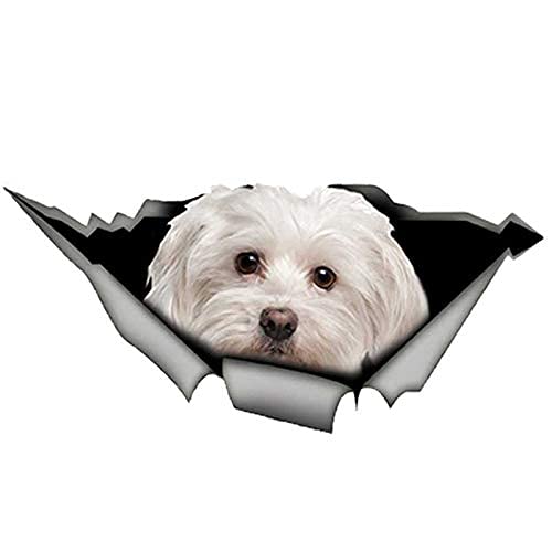 EARLFAMILY Cute Maltese Car Sticker Pet Dog Decoration Torn Metal Decal Reflective Waterproof Car Styling