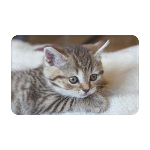 ~߁A\AzƑϋv tA}bgBOł̎gpɍœKBƒAItBXAƃXy[XɍœKB(uË炵킢XgCvXReBbVqL̓xr[)