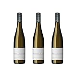 STROY: Seit 2001 hat Jochen Dreissigacker viel erreicht. 2005 übernahm er das Familien-Weingut in Bechtheim und bewirtschaftet es seit 2007 ökozertifiziert. Das 42 ha große Weingut Dreissigacker steht für ein beeindruckendes Portfolio kraftvoller Weine. Riesling und Leidenschaft waren sein Weg. Mit der Überzeugung, dass gesunde Pflanzen wetterbeständig sind, investiert Dreissigacker viel in die Weinberge. Seine Weine sind natürlich, unverfälscht und haben exzellentes Reifepotential.