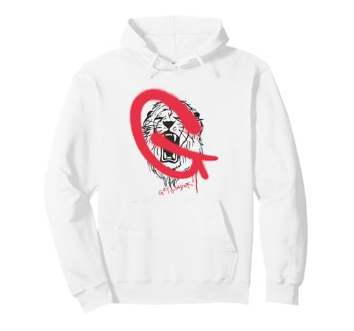 Image of Harry Potter Gryffindor Graffiti G Pullover Hoodie