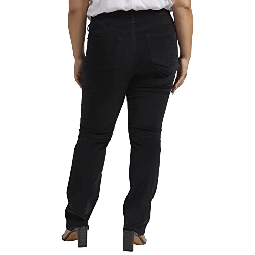 Jag Jeans Women's Plus Size Ruby Mid Rise Straight Leg Pants-Legacy3