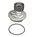 ACDelco 252-888 Professional Water Pump Kit