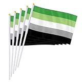 PTEROSAUR Aromantic Pride Handflagge, romantische Orientierung, Romantik, Geschlecht, Regenbogen, kleine Flagge, Party-Dekoration, Geschenke, 14 x 21 cm, 100 Stück