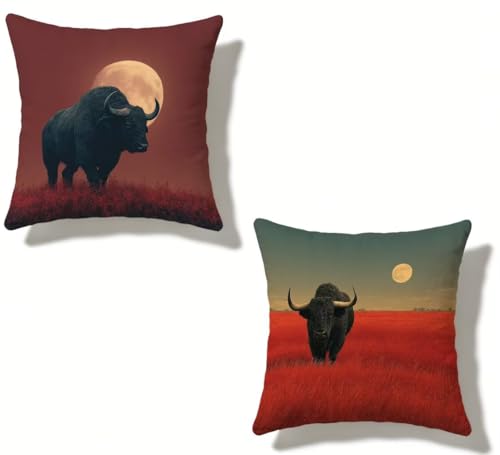 �N�b�V�����J�o�[ 50x50 cm 2���Z�b�g �� �������J�o�[ 50 x 50 �h�� ���� ���O �N�b�V���� �o�C�\�� �l�C ���O Cushion Cover �l�p HD���ʈ�� ���_�� �B���t�@�X�i�[�t���C ������ �p���� �_�� �� �l�G�ʗp �t�G��?