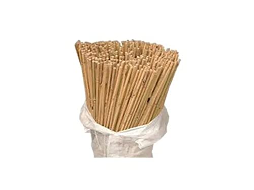 BHGS 5ft Garden Canes pack of 10 Plant Support Stakes