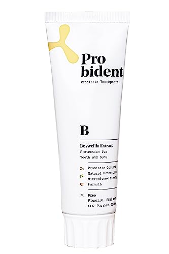 Probident Aktif Probiyotikli Florürsüz Akgünlük Özüt İlaveli Doğal Diş Macunu 75mL
