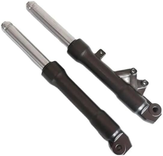 Motorcycle Suspension Fork Front Absorber Compatible with E125 RX125 51500-K80-C02 51400-K80-C01(Disc Brake)