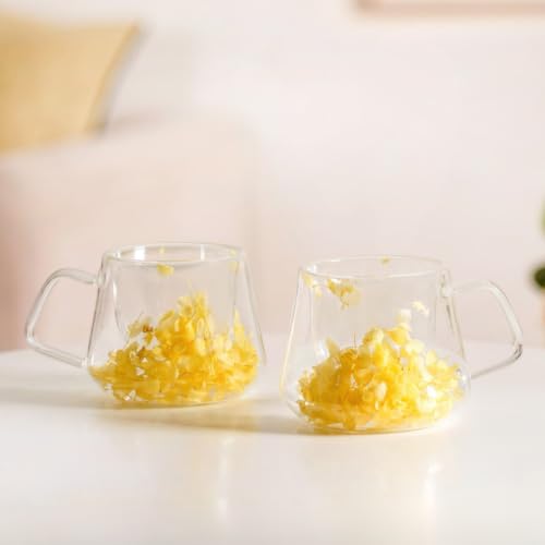 Image of Nestasia Double Wall Glass Mug with Dried Flowers Set of 2 (180ml Each) - Transparent Borosilicate Floral Glass Tea Cups | Lightweight & Durable Coffee Mugs - Perfect for Gifting (Yellow)