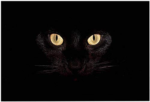 ChezMax Black Cat Eyes Non-Slip Doormat Coral Fleece Indoor Outdoor Kitchen Floor Rug Front Door Mat Funny Flannel Carpet 17 X 30 Inches