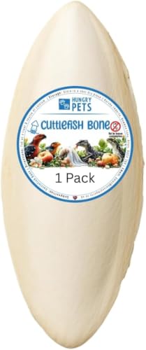 Cuttlefish Bone 1 Pack - for Birds Reptiles Snails 9-15cm