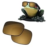 Acefrog AR Coated Polarized Replacement Lenses for Bose Tempo | Tenor | Alto S/M | Alto M/L | Rondo...