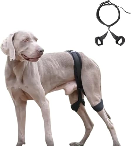 Image of Dog Knee Brace for Support with Cruciate Ligament Injury L | Joint Pain and Muscle Sore, Recovery with ACL Knee Brace for Dogs