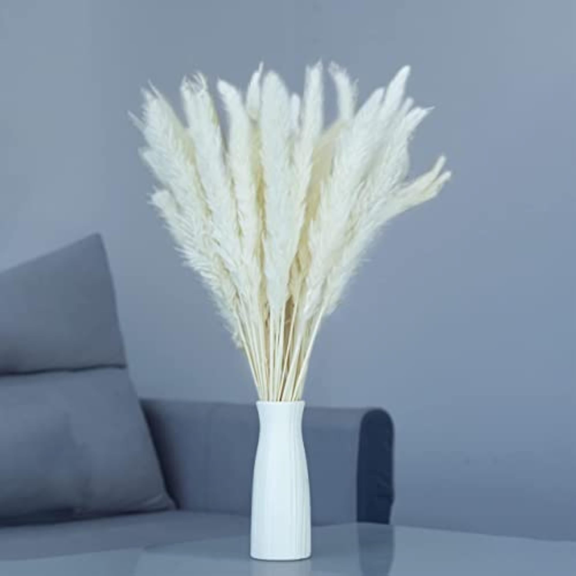 Natural Dried Pampas Grass Decor