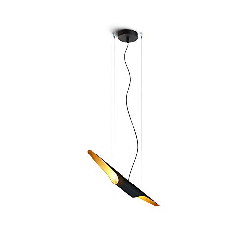 Lampe de plafond industrielle en métal noble pour intérieur raffiné