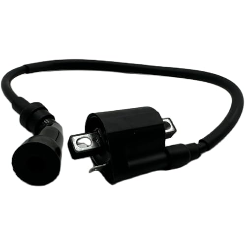 Bobina de encendido J-anshe B-ja JS250 250cc Mountain Lion FG-802000-0