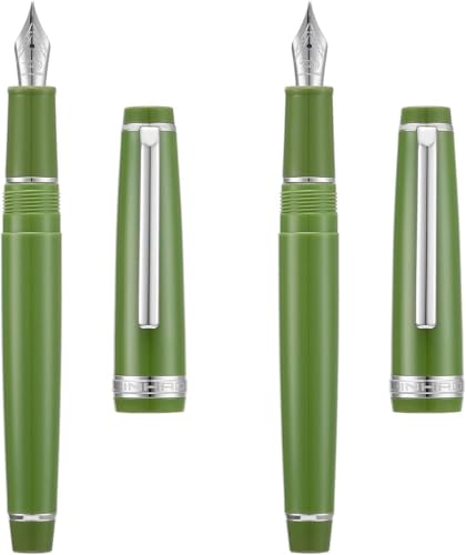 Stylo-plume vert et argent idéal pour la prise de notes en réunion et bureau