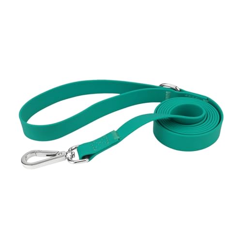 Laisse en PVC durable verte de 2.5cm pour animaux de compagnie - 2