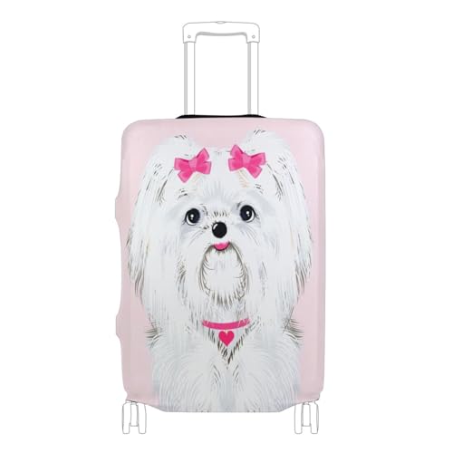 [SoreSore] \\ X[cP[XJo[ h Lkf L[Jo[ QbWJo[  sN  Aj}    ho s o ֗ S M L XLTCY