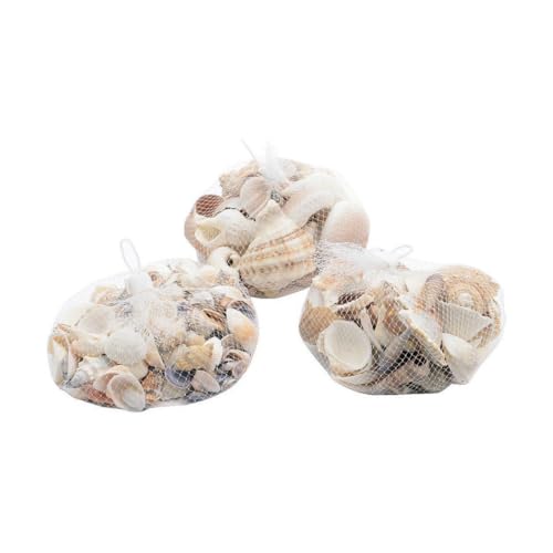 SURTIDO DE CARACOLAS Y ALMEJAS DECORATIVAS 400G