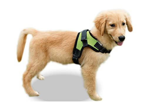 Copatchy No Pull Reflective Adjustable Dog Harness with Handle (XX-Small, Green)