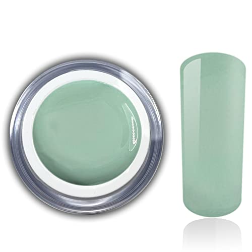 Farbgel Grün Mint Pastell Maivi Frühling Uv Led Nagelgel Studio Qualität Gelnägel Color Gel RM Beautynails 1er Pack (1x 5ml)