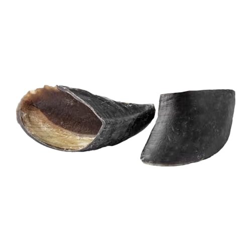 CHIFRE DE BÚFALO PARA ROER RAÇAS GRANDES – PURETOY