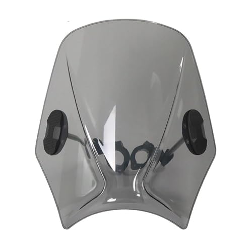 HOLOMKMGYT CB350 CB350RS GB350 GB350RS CB200X 2021 2022 2023 用 バイク用ウインドスクリーン バイク用 スクリーン(Light Smoke)