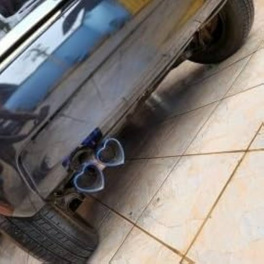 ステンレス製デュアルアウトレットエキゾーストシステム ステンレス製デュアルアウトレットエキゾーストシステム 【公式