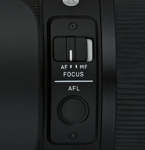 Sigma 24-70mm f/2.8 lens
