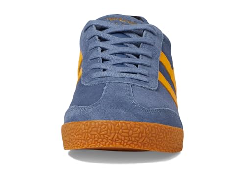 Image of Gola Harrier