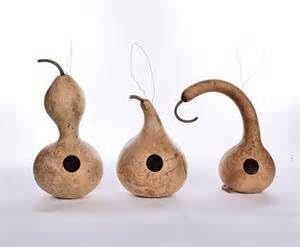 Gourd Seeds Birdhouse Bottle Gourd Seeds,50 Seed