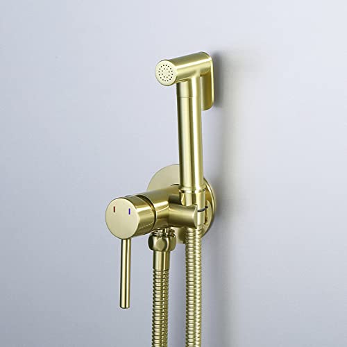 Kit de bidet de toilette dissimulé avec tuyau de douche et mitigeur or