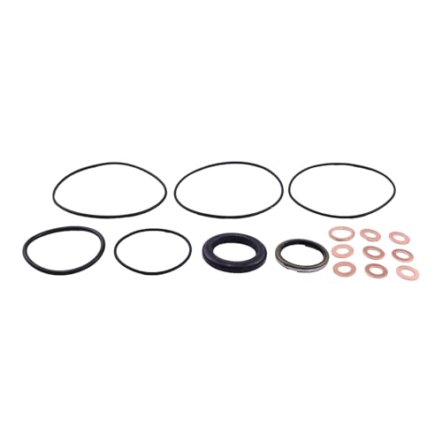 Image of HOLDWELL Hydraulic Motor Seal Kit Compatible with Eaton 60539-000 Char-Lynn 60539 103(S) Series 009 010