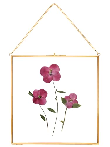 REDHUGO Glass Pressed Flower Frames,Vintage Hanging Picture Frames with Chain,Handmade Brass Floating Picture Frame,Plant Specimen Wall Ornament Display Artwork DIY Family Photo,Square,Gold