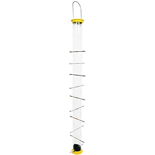 Top 10 Droll Yankees Bird Feeders Of 2020 Best Reviews Guide