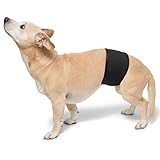 PlayaPup Male Dog Belly Band, Black, Medium
