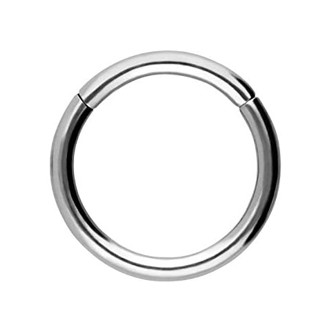 PIERCINGLINE Segmentring Clicker | Chirurgenstahl | Piercing Nase Septum Ohr Helix Tragus | Farb & Größenauswahl Cover