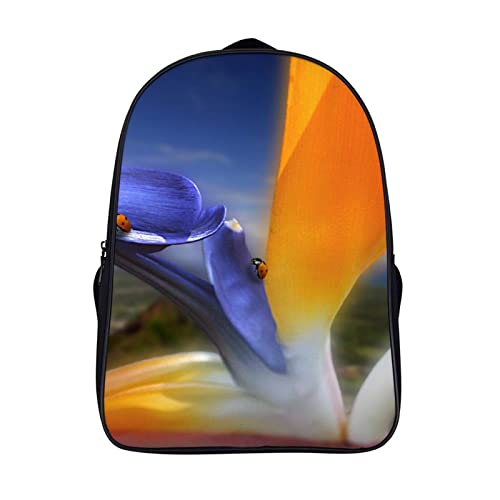 Sac d'école unisexe coccinelle avec relief 3D et grand volume sport